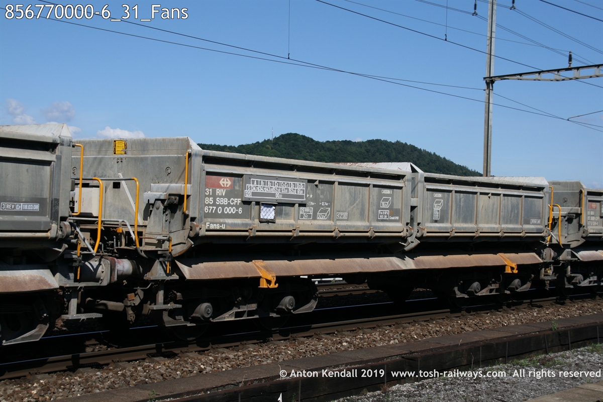 856770000-6_31_Fans.JPG